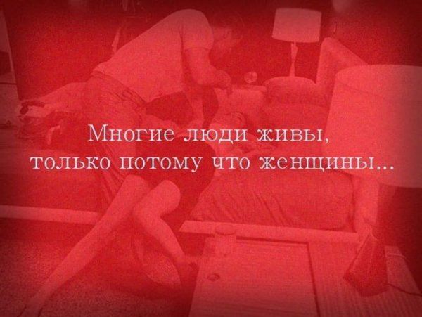 Прикольные картинки (102 фото)