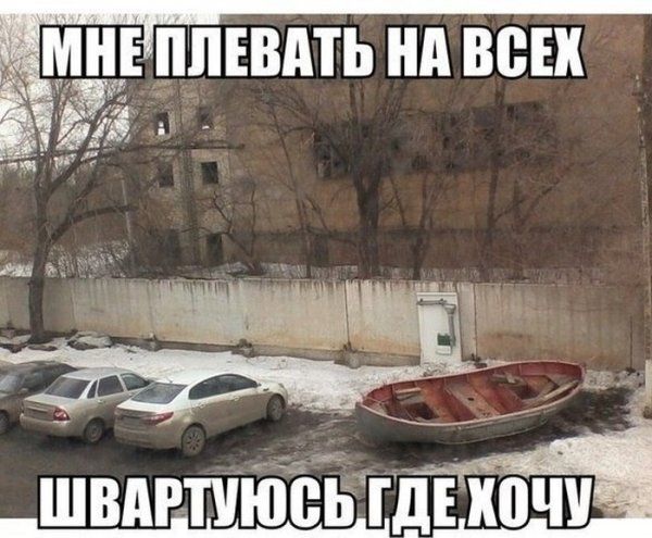 Прикольные картинки (102 фото)