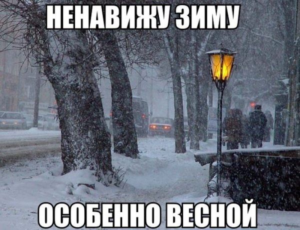 Прикольные картинки (102 фото)