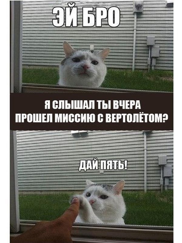 Прикольные картинки (102 фото)