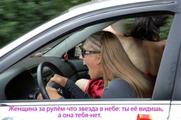 Прикольные картинки (102 фото)