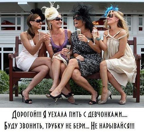Прикольные картинки (102 фото)