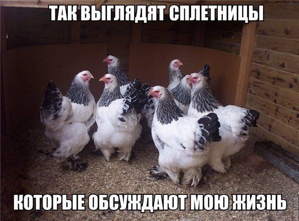 Прикольные картинки (102 фото)
