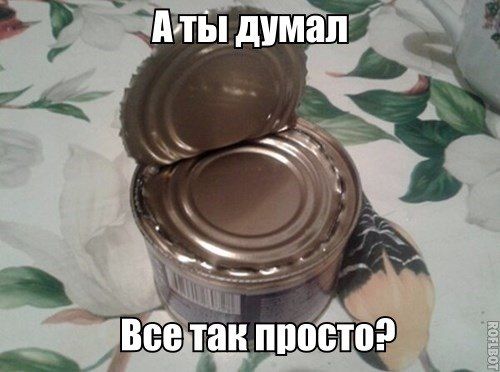 Прикольные картинки (102 фото)