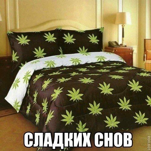 Прикольные картинки (102 фото)
