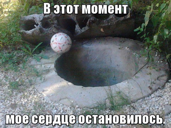 Прикольные картинки (102 фото)