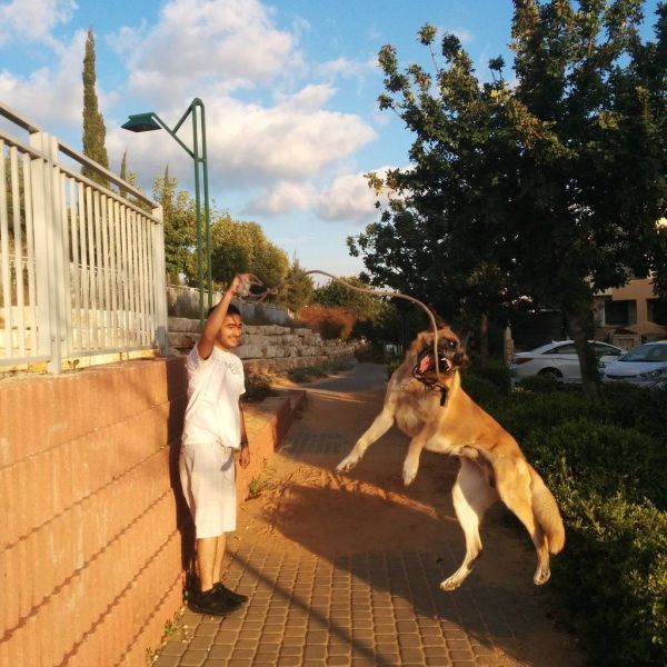 Порция картинок