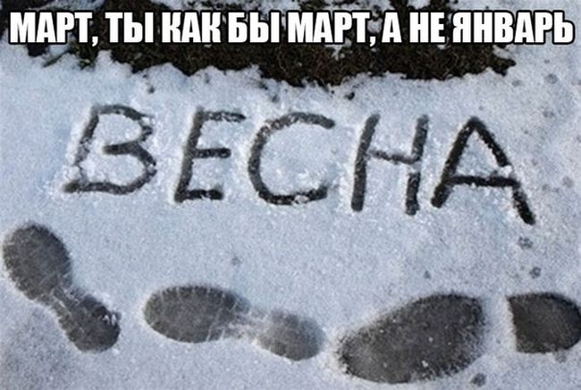 Порция картинок