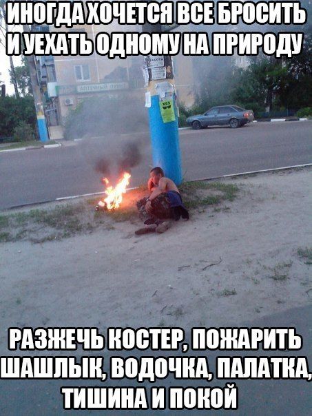 Порция картинок