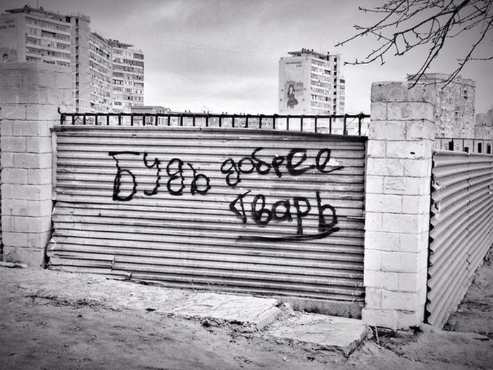 Порция картинок