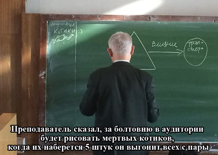 Порция картинок