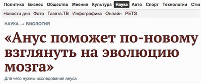 Порция картинок