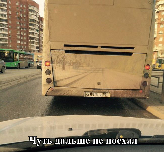 Порция картинок