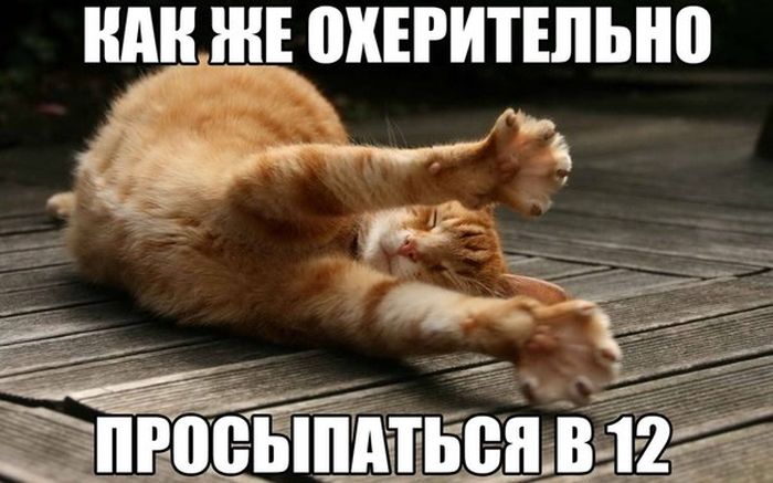 Порция картинок