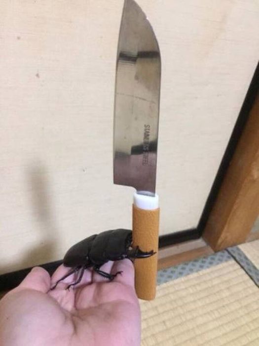 Когда тебе не везет
