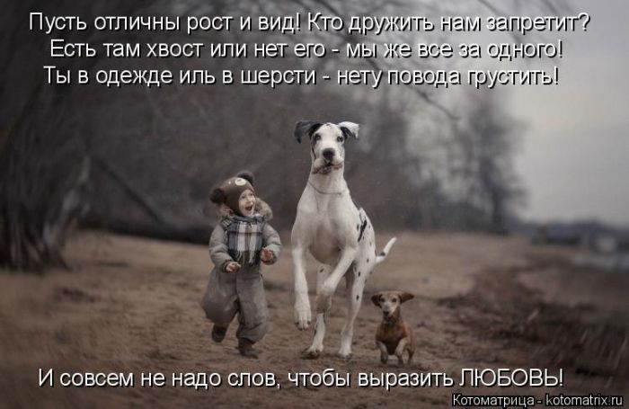 Лучшие котоматрицы недели