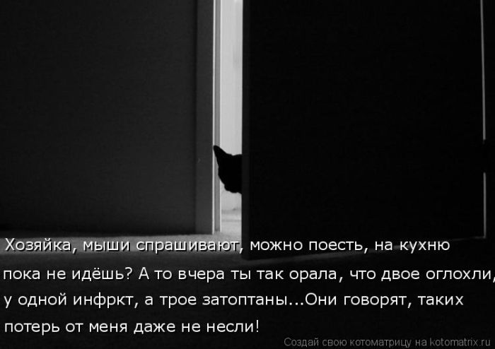 Лучшие котоматрицы недели