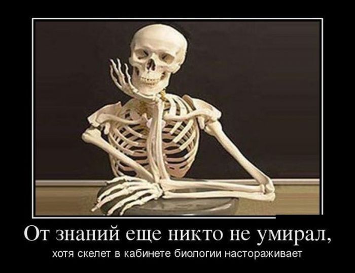 Демотиваторы