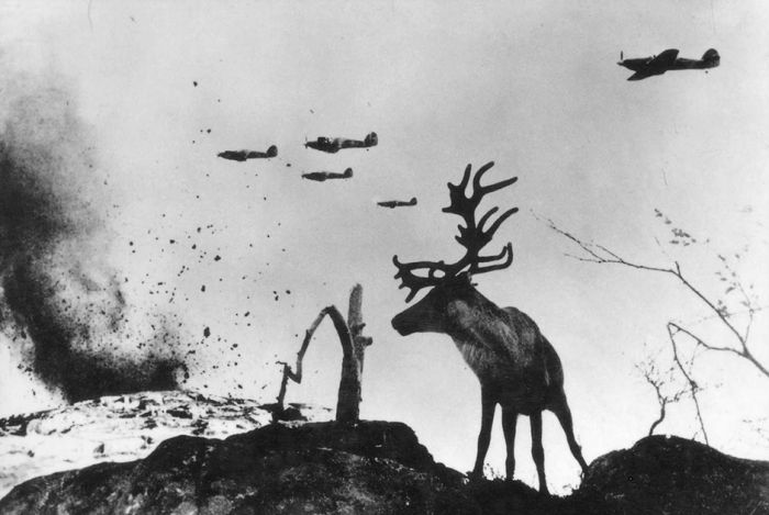 Война глазами советского фотокорреспондента Евгения Халдея Война глазами советского фотокорреспондента Евгения Халдея