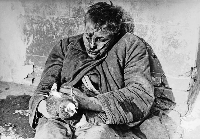 Война глазами советского фотокорреспондента Евгения Халдея Война глазами советского фотокорреспондента Евгения Халдея