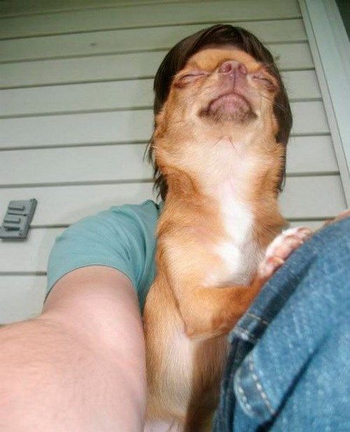 Подборка классных фото-иллюзий (40 фото)