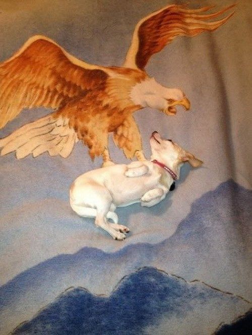 Подборка классных фото-иллюзий (40 фото)