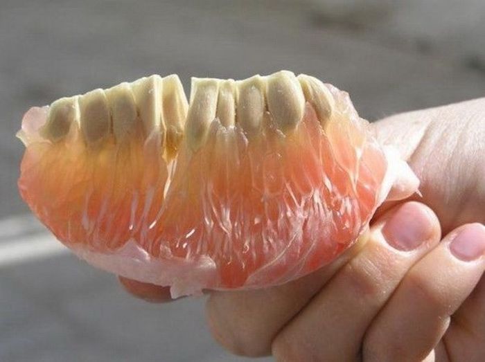 Подборка классных фото-иллюзий (40 фото)