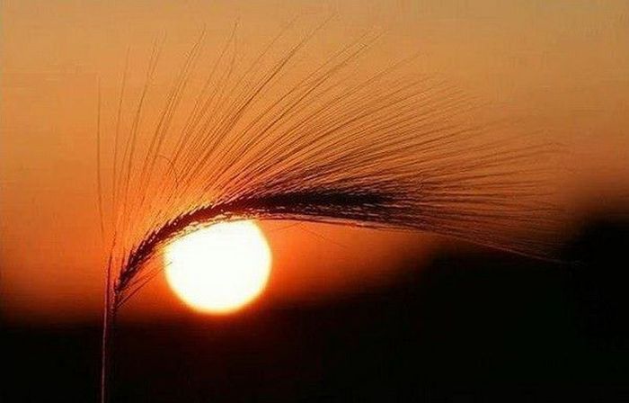 Подборка классных фото-иллюзий (40 фото)