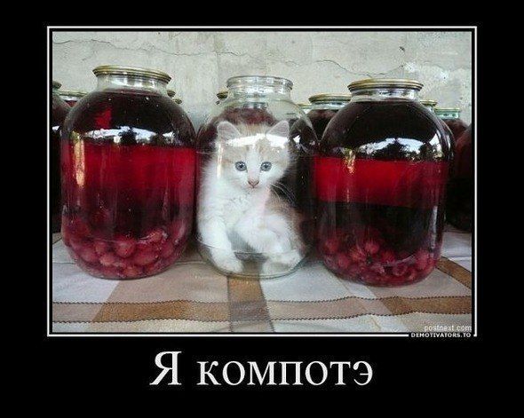 Прикольные картинки (120 фото)