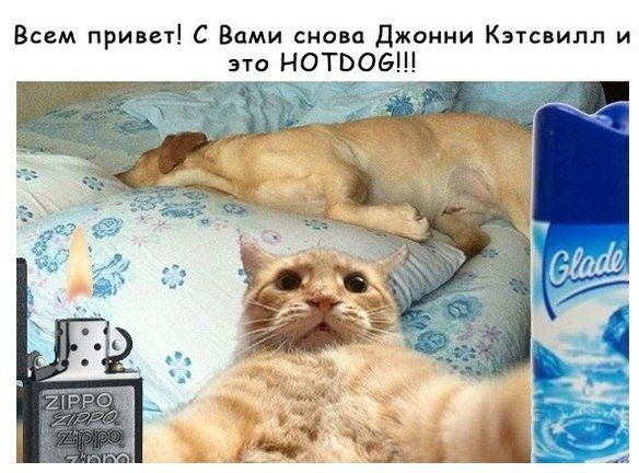 Прикольные картинки (120 фото)