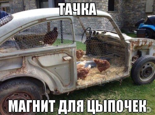 Прикольные картинки (120 фото)
