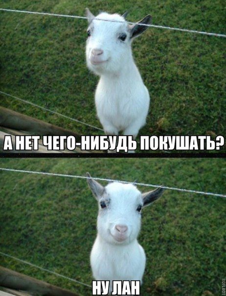 Прикольные картинки (120 фото)