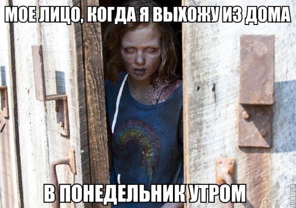 Прикольные картинки (120 фото)