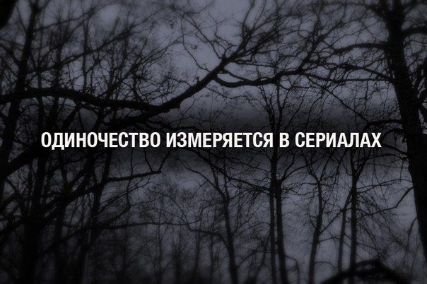 Прикольные картинки (120 фото)