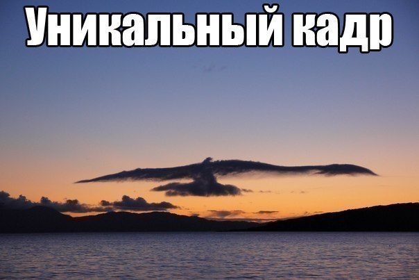 Прикольные картинки (120 фото)