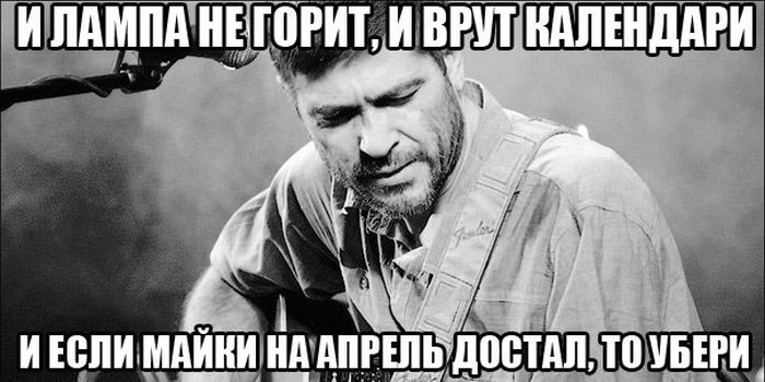 Порция картинок