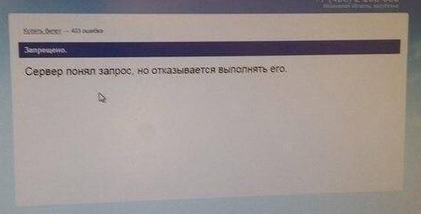 Порция картинок