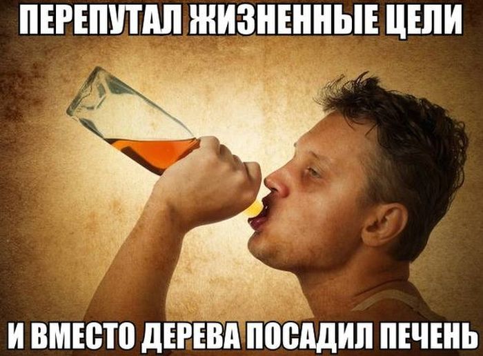 Порция картинок