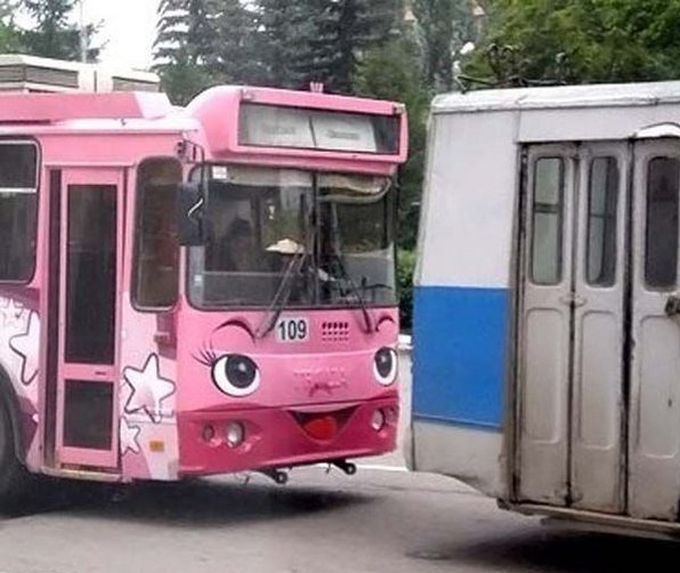 Порция картинок