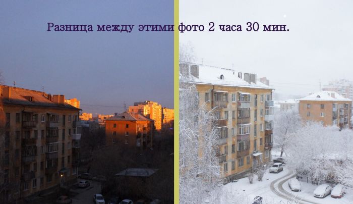 Порция картинок