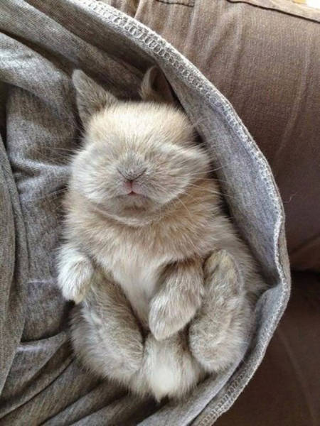 Коллекция эмоциональных снимков