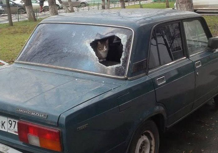 Фото, которые возможно было сделать только в России
