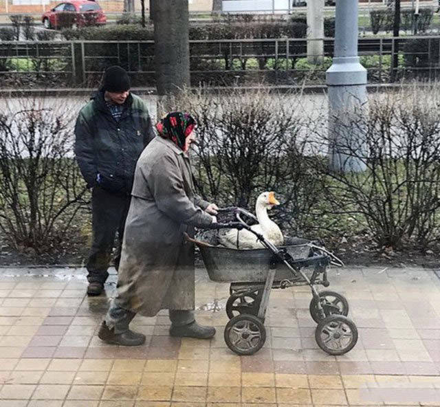 Фото, которые возможно было сделать только в России