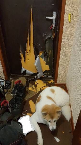 Прикольные картинки