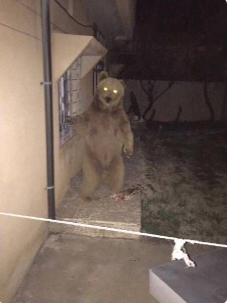 Прикольные картинки