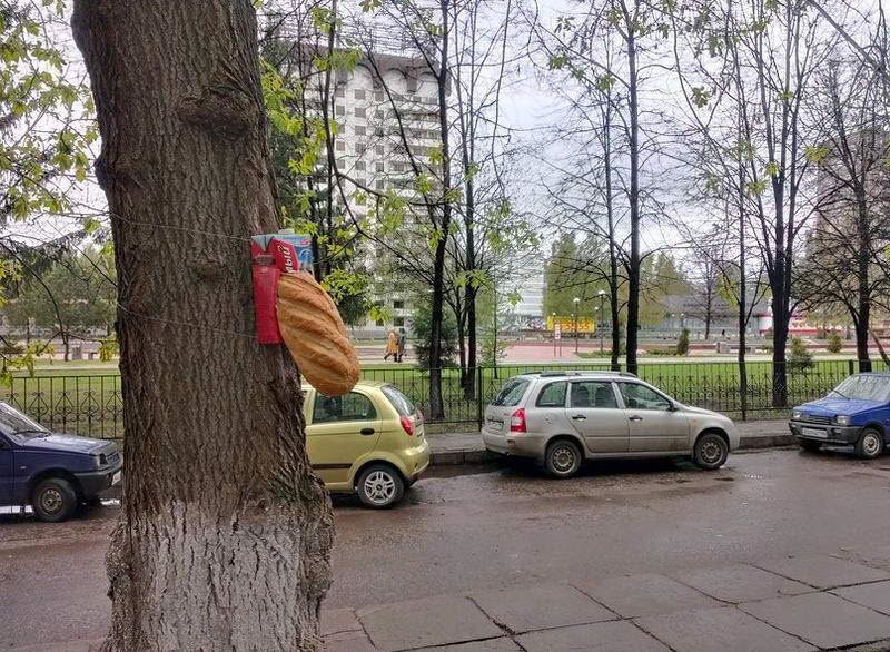 Вестник социальные сетей