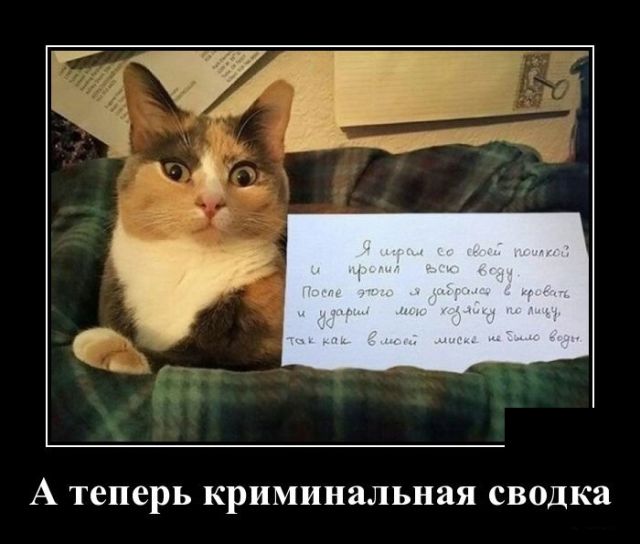 Демотиваторы