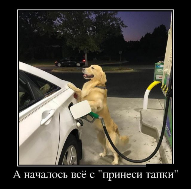 Демотиваторы