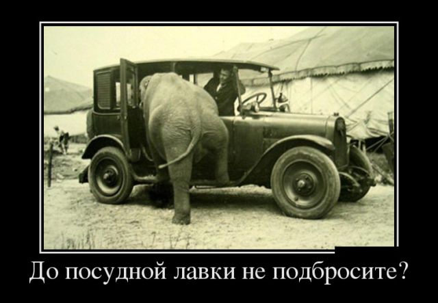 Демотиваторы