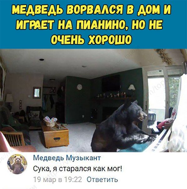 Подборка отменного юмора из социальных сетей